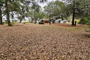4211 Lowell Ln, Zephyrhills, FL 33541 - Photo 27