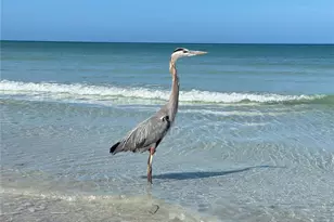 10820 43rd St N, Clearwater, FL 33762 - Photo 57