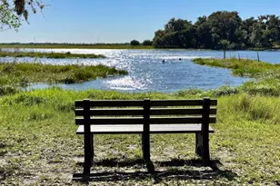 10509 Bridgegate Heights Loop, San Antonio, FL 33576 - Photo 73