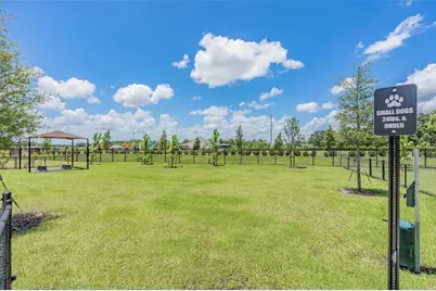 33075 Kateland Drive, Wesley Chapel, FL 33545 - Photo 87