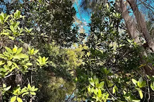 559 Quintana Pl NE, Saint Petersburg, FL 33703 - Photo 39