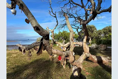 512 Tennessee Avenue, Crystal Beach, FL 34681 - Photo 17