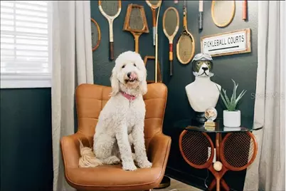 2705 N Oakdale Avenue, Tampa, FL 33602 - Photo 23