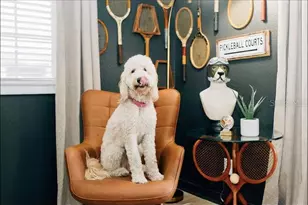 2705 N Oakdale Ave, Tampa, FL 33602 - Photo 23