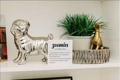 2705 N Oakdale Avenue, Tampa, FL 33602 - Photo 15