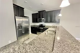 28536 Tranquil Lake Cir, Wesley Chapel, FL 33543 - Photo 3