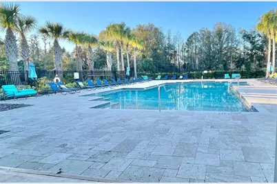 28536 Tranquil Lake Circle, Wesley Chapel, FL 33543 - Photo 11