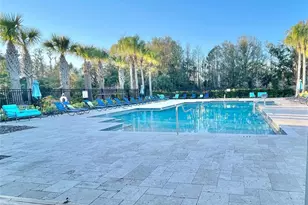 28536 Tranquil Lake Cir, Wesley Chapel, FL 33543 - Photo 11