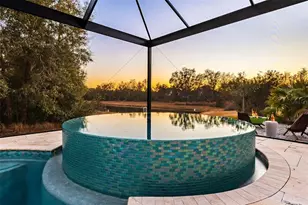 30801 Parrot Reef, Wesley Chapel, FL 33545 - Photo 81