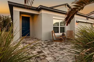 30801 Parrot Reef, Wesley Chapel, FL 33545 - Photo 71