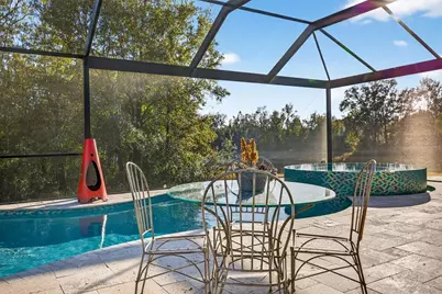 30801 Parrot Reef, Wesley Chapel, FL 33545 - Photo 43