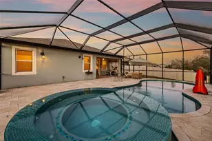 30801 Parrot Reef, Wesley Chapel, FL 33545 - Photo 83
