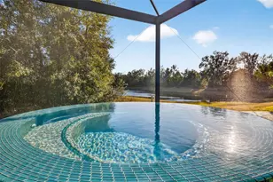 30801 Parrot Reef, Wesley Chapel, FL 33545 - Photo 47