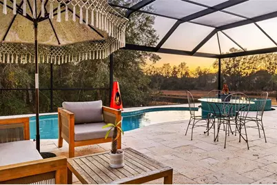 30801 Parrot Reef, Wesley Chapel, FL 33545 - Photo 77