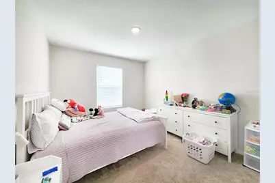 37114 Sagemoor Drive, Zephyrhills, FL 33541 - Photo 39