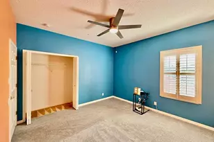 12905 Darby Ridge Dr, Tampa, FL 33624 - Photo 37