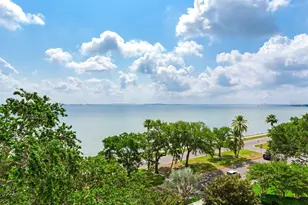 4201 Bayshore Blvd, Tampa, FL 33611 - Photo 31