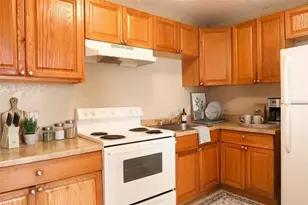 1105 W Nassau St, Tampa, FL 33607 - Photo 5