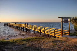 416 Indiana Ave, Crystal Beach, FL 34681 - Photo 53