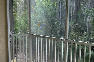 3436 Primrose Way, Palm Harbor, FL 34683 - Photo 15