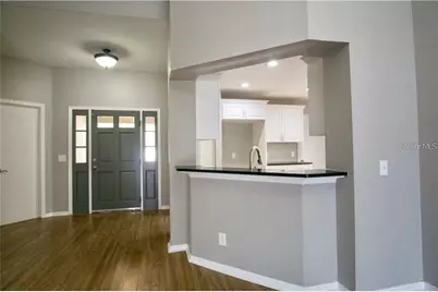 1113 Bloom Hill Avenue, Valrico, FL 33596 - Photo 3