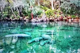 1 Werley Trail, Deland, FL 32720 - Photo 1