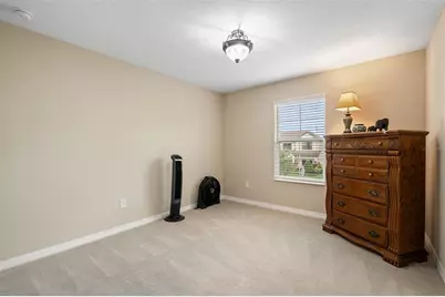 31046 Parrot Reef Court, Wesley Chapel, FL 33545 - Photo 59