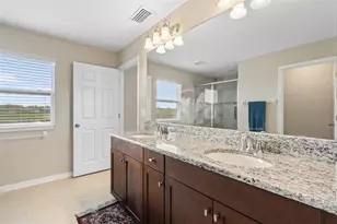 31046 Parrot Reef Ct, Wesley Chapel, FL 33545 - Photo 39