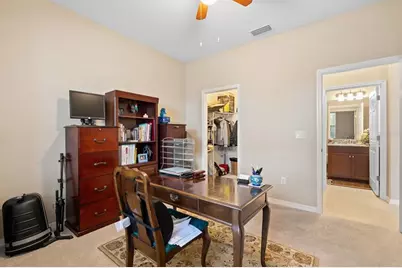 31046 Parrot Reef Court, Wesley Chapel, FL 33545 - Photo 11