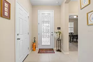 31046 Parrot Reef Ct, Wesley Chapel, FL 33545 - Photo 13