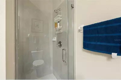 31046 Parrot Reef Court, Wesley Chapel, FL 33545 - Photo 17