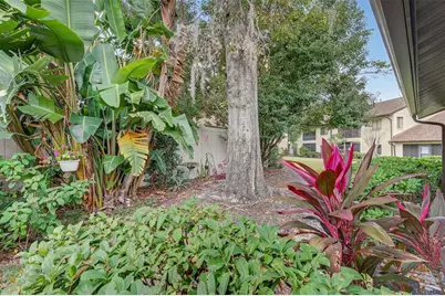 3581 Magnolia Ridge Circle #C, Palm Harbor, FL 34684 - Photo 23