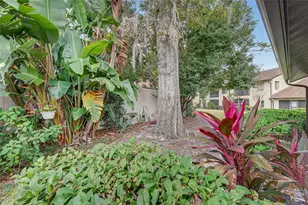 3581 Magnolia Ridge Cir, Palm Harbor, FL 34684 - Photo 23