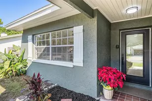 11707 Cypress Park St, Tampa, FL 33624 - Photo 3