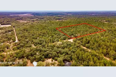 Old Bellamy Trail, Melrose, FL 32666 - Photo 7