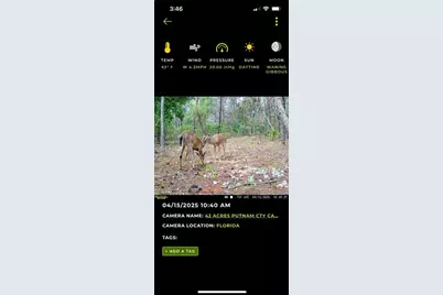 Old Bellamy Trail, Melrose, FL 32666 - Photo 5