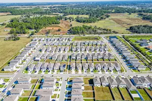 34284 Verbena St, Wesley Chapel, FL 33545 - Photo 81