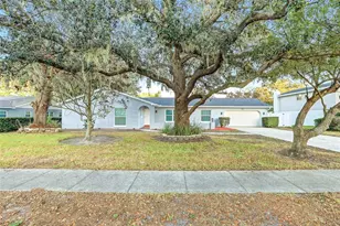 10905 Kewanee Dr, Temple Terrace, FL 33617 - Photo 41