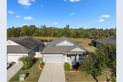 12156 Creek Preserve Drive, Riverview, FL 33579 - Photo 47