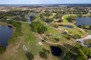 12929 Royal George Ave, Odessa, FL 33556 - Photo 39