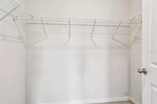 8389 Bower Bass Cir, Wesley Chapel, FL 33545 - Photo 27