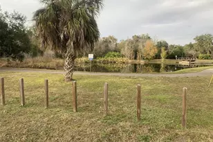 1104 N Knight St, Plant City, FL 33563 - Photo 27