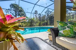 20213 Regal Fern Ct, Tampa, FL 33647 - Photo 47