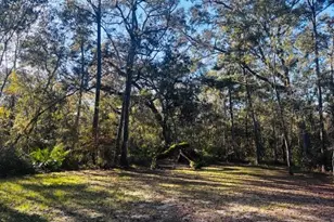 3351 Rackley Rd, Brooksville, FL 34604 - Photo 51