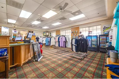 1036 Dartford Drive, Tarpon Springs, FL 34688 - Photo 49