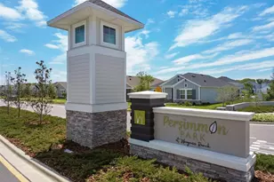 28748 Rambutan Dr, Wesley Chapel, FL 33543 - Photo 37