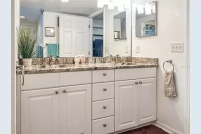 21107 Fountain View Lane #5201, Lutz, FL 33558 - Photo 27