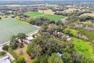 1816 McGee Rd, Plant City, FL 33565 - Photo 67