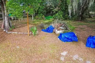1816 McGee Rd, Plant City, FL 33565 - Photo 53