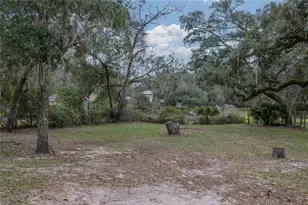 34390 Orchid Pkwy, Dade City, FL 33523 - Photo 39